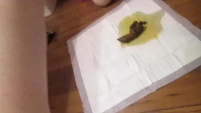 Big Shit and Pee HD 720p (SexyScatForYou /  2018) 422 MB ScatVip.com