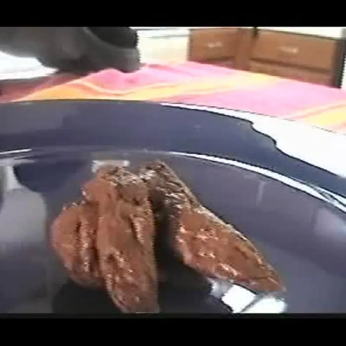 College Girls Pooping 5 SD (Baylee, Alyssa, Sabreena, Samantha, Mirfee, Sofea, Dianah, Amber, Aryn /  2018) 184 MB