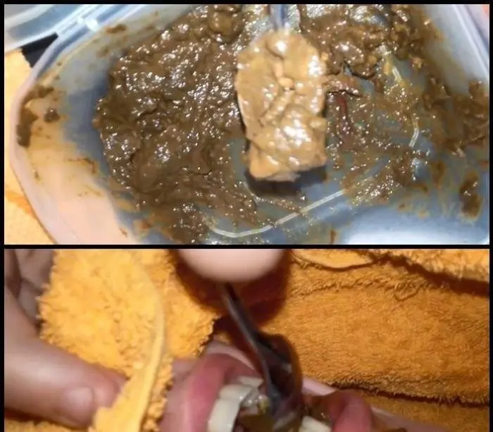 Extreme Incredible amateur Scat Beauty Teen Slave Feeding (She Eats A Lot Of Shit Real Feeding) FullHD 1080p (Scat Amateur /  2018) 785 MB ScatVip.com