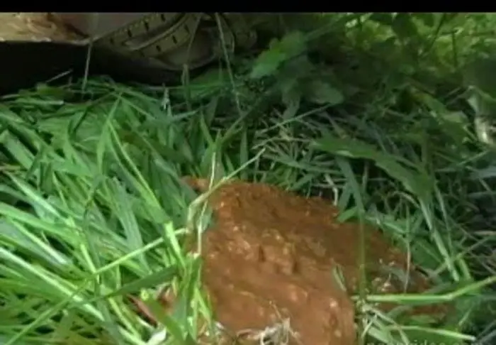 Russian poop girl SD (Anna /  2018) 141 MB