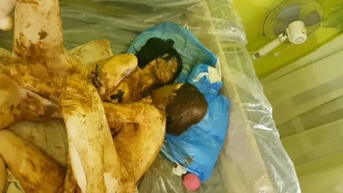 Epic Scat HardCore. Part 3 FullHD 1080p (AstraCelestial /  2018) 1.91 GB