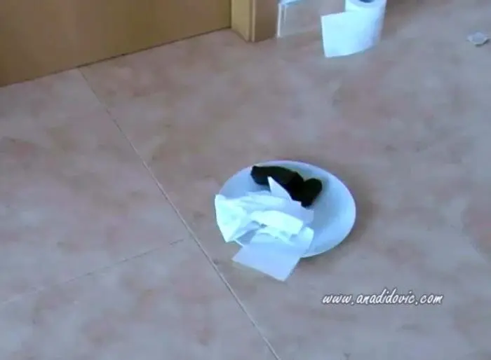 Nice Plating SD (Ana Didovic /  2018) 17.9 MB ScatVip.com