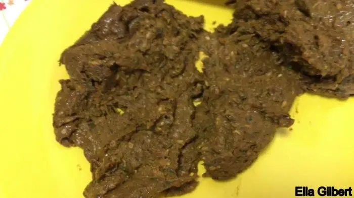 Inspecting My Shit FullHD 1080p (EllaGilbert /  2018) 769 MB ScatVip.com