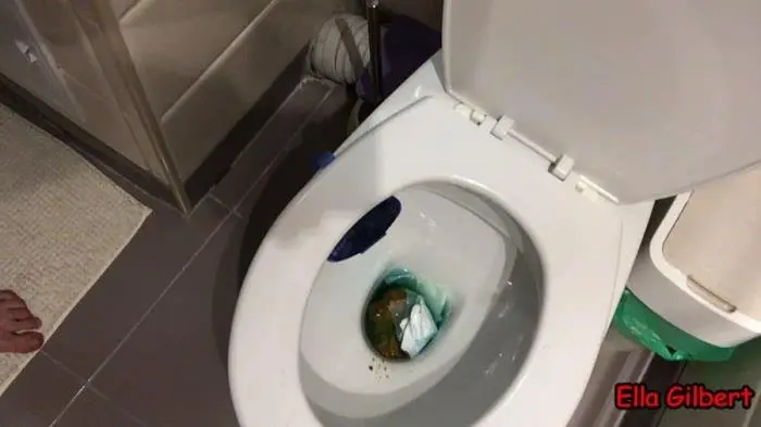 5 Days Bowel Movement Compilation HD 720p (EllaGilbert /  2018) 885 MB ScatVip.com