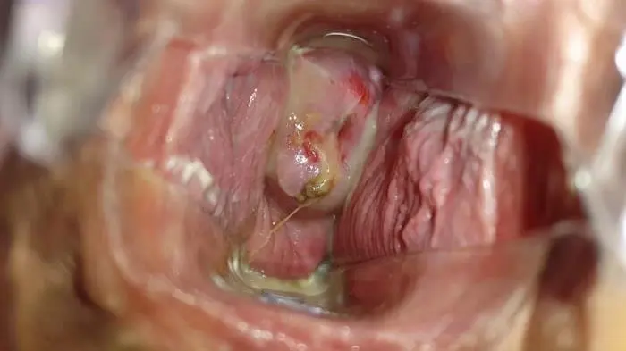 Satin Panty Series – Parts 3 FullHD 1080p (Samantha Starfish /  2018) 1.86 GB ScatVip.com