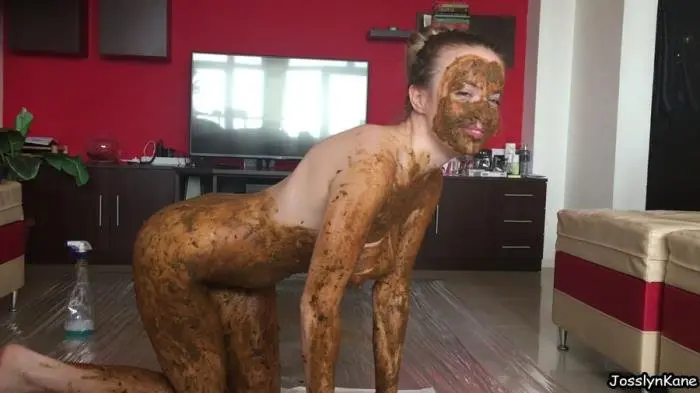 Fancy Cleaning FullHD 1080p (JosslynKane /  2018) 1.33 GB ScatVip.com