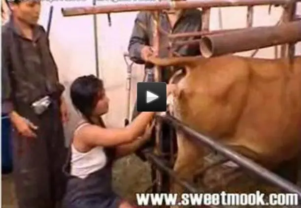 Lord Of The Dung 3 SD (Sweet Mook /  2018) 248 MB ScatVip.com