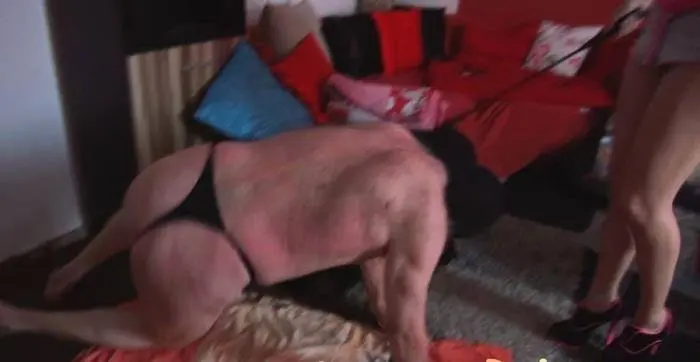 Scat Cats - Scat Out of the Box P1 SD (Scat Cats, Domi, Kimi, Lucy, Hanna /  2018) 248 MB ScatVip.com