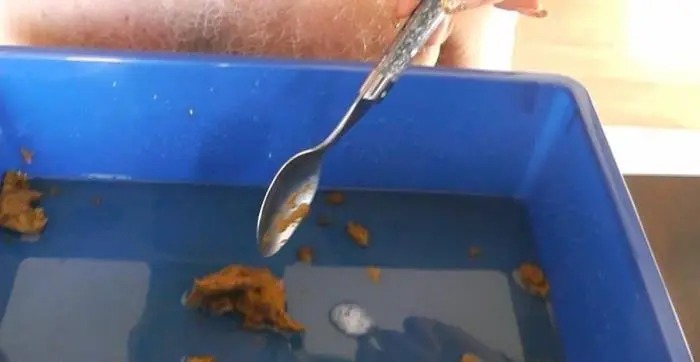 Scat Cats - The Delicious Scat Meal FullHD 1080p (Scat Cats, Domi, Kimi, Lucy, Hanna /  2018) 430 MB ScatVip.com