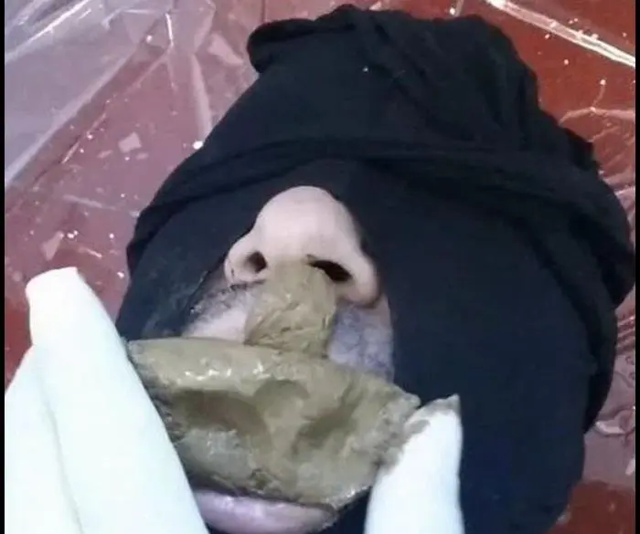 Slaves meal with shit Deluxe mit edel KaviarBig Pile FullHD 1080p (Sklavenmahlzeit /  2018) 931 MB