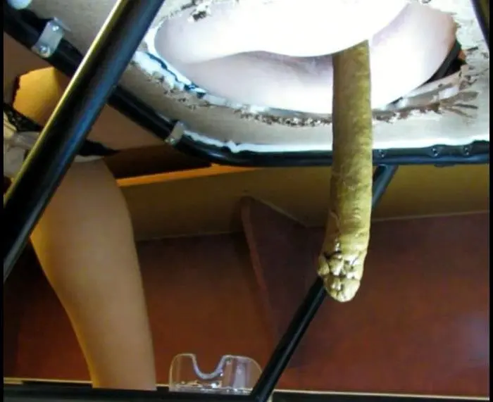 Lbs 2 feet turd of SHIT from my 110 lbs body For my customer FullHD 1080p (Eva /  2018) 1.08 GiB ScatVip.com