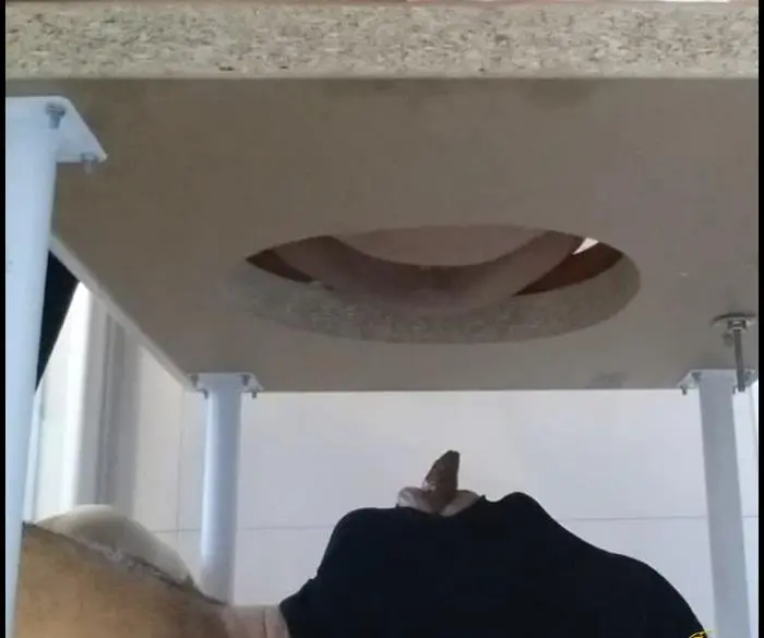 Suck my Shit Toilet Bitch FullHD 1080p (ScatVivian /  2018) 1.11 GiB ScatVip.com