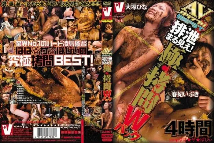 Extremely Torture Pack VVVD-047 DVDRip (Hina Otsuka, Ibuki Haruhi, Aoi Yuuki /  2018) 2.50 GB ScatVip.com