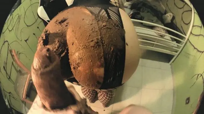 Wanna polish your bone, on my shit? FullHD 1080p (DirtyBetty /  2018) 215 MB ScatVip.com