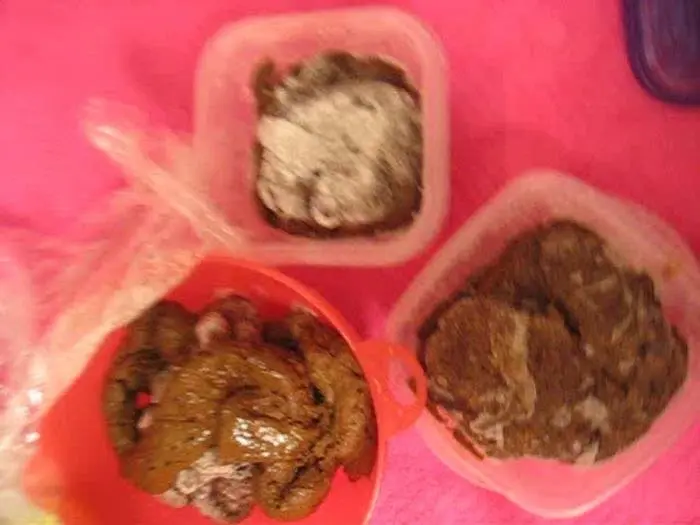 Happas Add Up! SD (ShitGirl /  2018) 24.6 MB ScatVip.com