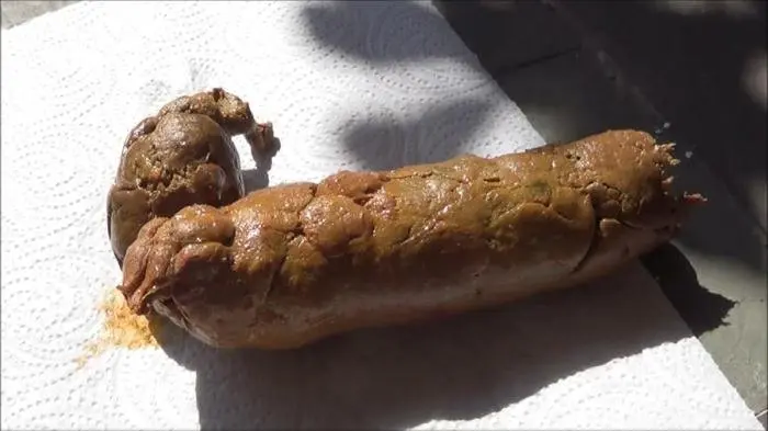 Perfect Dump FullHD 1080p (Tegan /  2019) 240 MB ScatVip.com