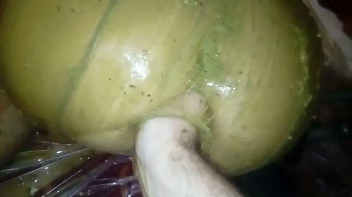 Dirty Nurse Filthy Hardcore Porn Shit FullHD 1080p (Marlinda Branco /  2019) 849 MB ScatVip.com