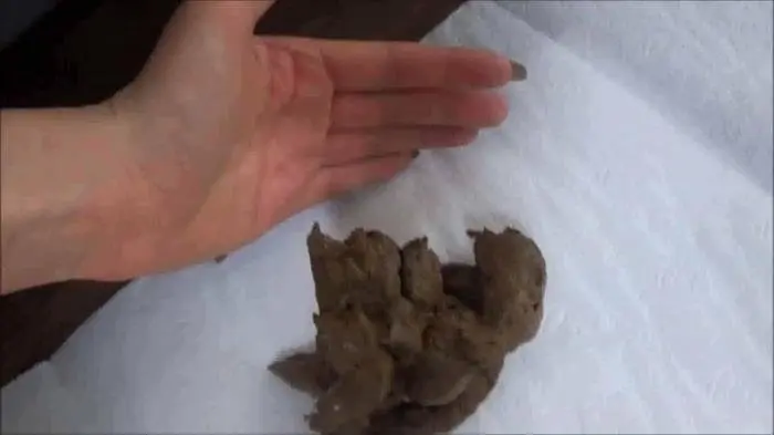 Biggest shit ever is coming FullHD 1080p (HotDirtyIvone /  2019) 211 MB