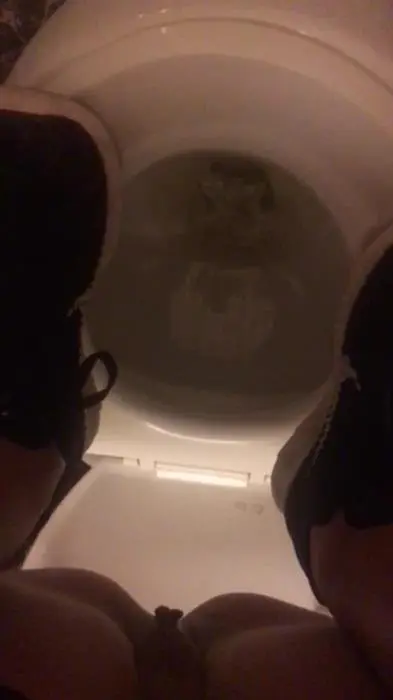 7 days every Pee & Shit AsiaTrip Part 2 UltraHD 2K (VeganLinda /  2020) 1.61 GB