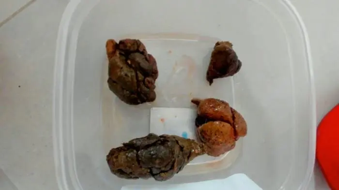 The heels fit shit FullHD 1080p (LucyBelle /  2021) 473 MB