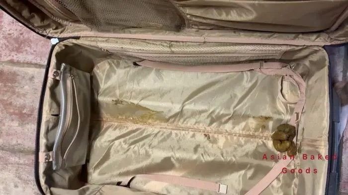 Shit in suitcase, dragged around town! FullHD 1080p (Marinayam19 /  2021) 1.01 GB