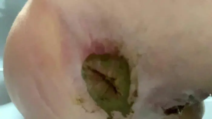 Devoted Toilet Slave FullHD 1080p (Thefartbabes /  2021) 2.09 GB