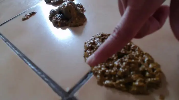 Shit while I cook FullHD 1080p (Liglee /  2021) 504 MB