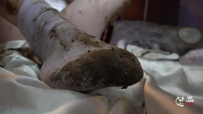 Socks + Shit FullHD 1080p (Solo /  2022) 688 MB ScatVip.com