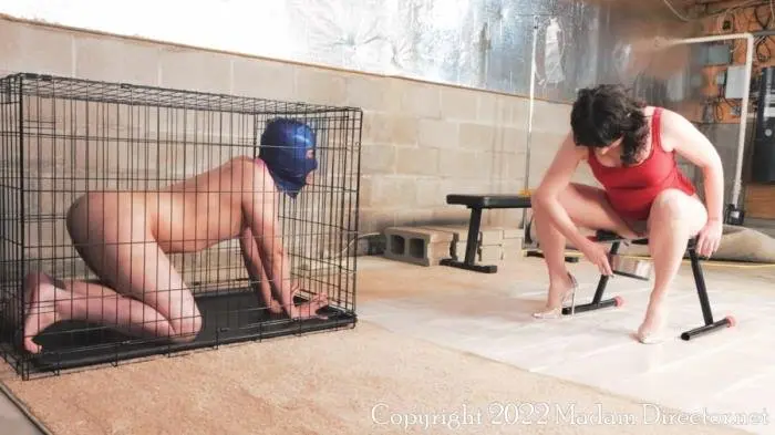 No People Food Allowed UltraHD 4K (Madam Director Lola /  2022) 2.43 GB ScatVip.com