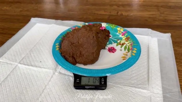 Candle Shit FullHD 1080p (PulsiferPaprocki /  2023) 402 MB ScatVip.com