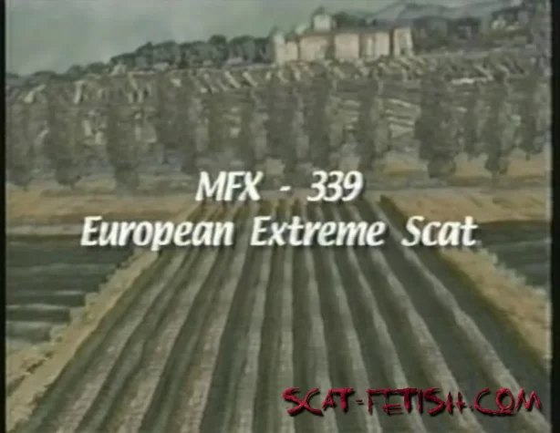 MFX-339 European Extreme Scat DVDRip (Karla, Leticia Miller, Karen /  2024) 744.7 MB