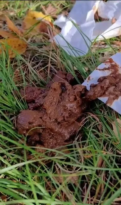 I eat someone elses shit in the woods SD (Scatlina /  2025) 115.43 MB