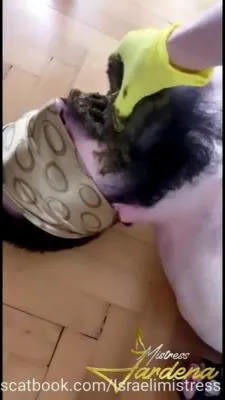 Scat lunch for my dirty slut SD (Mistress Jardena /  2025) 32.0 MB