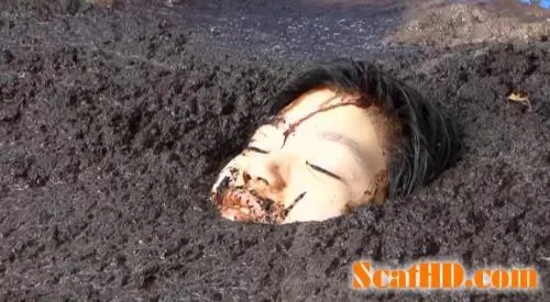 JAV - Cow shit Vol.02 DVDRip (JAV /  2025) 1.11 GB ScatVip.com