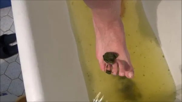 Poop And Enema SD (Mistress Roberta /  2025) 382 MB