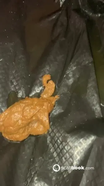 Hairy Pooping Butthole SD (Aurora Jolie /  2025) 54.7 MB