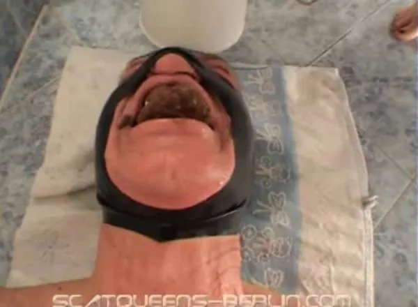 Goofy Tag Scat SD (Lady Missy, Lucy Delunatic, Lady Grace, Miss Flowers, Lady Katherina, Lisa Anderson /  2025) 67.4 MB