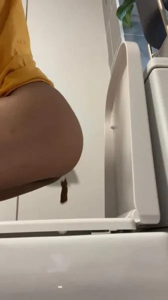 VIEW FROM BESIDE MY TOILET SD (Ella Dearest aka Efro Ella /  2025) 15.7 MB