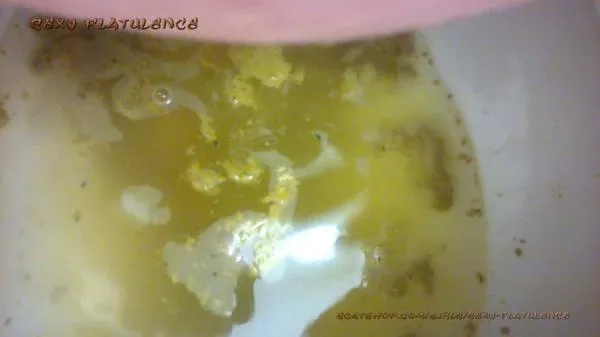 Diarrhea In The Toilet FullHD 1080p (Sexy Flatulence /  2025) 365 MB