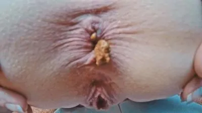 Closer Than Close HD 720p (Mia Skye aka MiaRoxxx /  2026) 13.4 MB