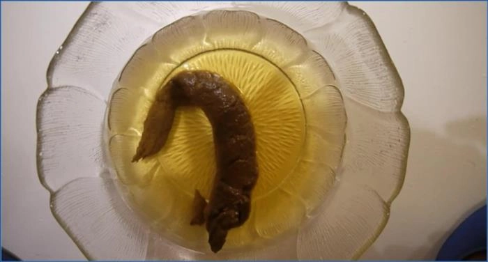 SexyFeli morgens mit Shen an Brücken FullHD 1080p – ScatVip poster