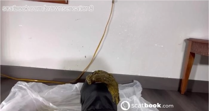 BrownSensation8 Toilet Fun HD 720p