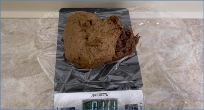 American Sprinkle's Epic Panty Poop Tease with Massive Big Ass Shit Showdown in FullHD 1080p