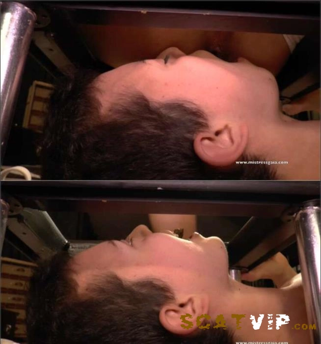 Download Mistress Gaia schiavizza Niky in FullHD 1080p ScatVip.com