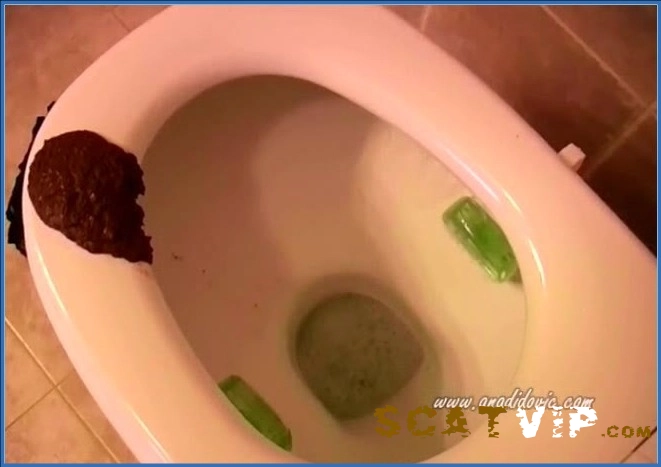 Ana Didovic's Diepste Behoeften: Intense Scat en Anal Domination met Santara's Legendarische SiteRip – ScatVip poster