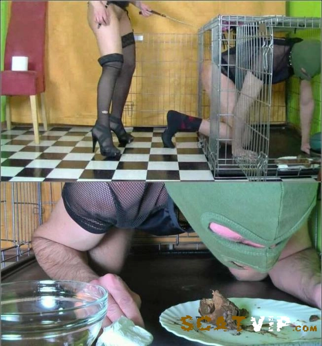 Lady Melissa - Erniedrigung und Auspeitschen in HD 720p – ScatVip poster