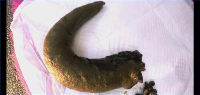 Download Dirty Talking Goddess Blonde Goddess Turns You Into Her Human Toilet Slave in UltraHD 4K ScatVip.com