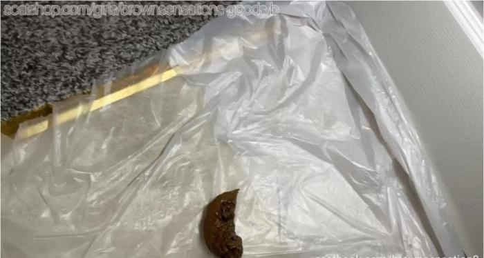 Download BrownSensation8 in Masturbating and Shitting 2 HD 720p - Hot Action from USA ScatVip.com