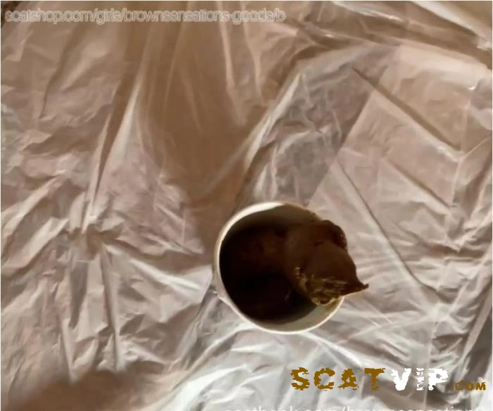 BrownSensation8 Hot Action: Shitting in My Coffee Cup, Full SiteRip Download – ScatVip poster