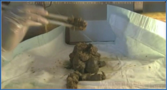 Descarga o mira ahora: Delilah T Kaka (Bossy Delilah) en acción caliente americana en TheOnlyScatQueenDelilah desde Puerto Rico – ScatVip poster